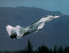 Mig29B.gif (344941 bytes)